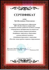 Сертификат Формирование пространства для творческой самореализации